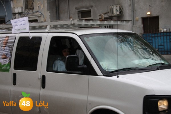 qafela sayarat haiywa (35).JPG